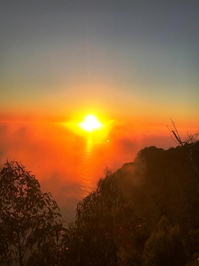 !Your Home In Madeira フンシャル エクステリア 写真
