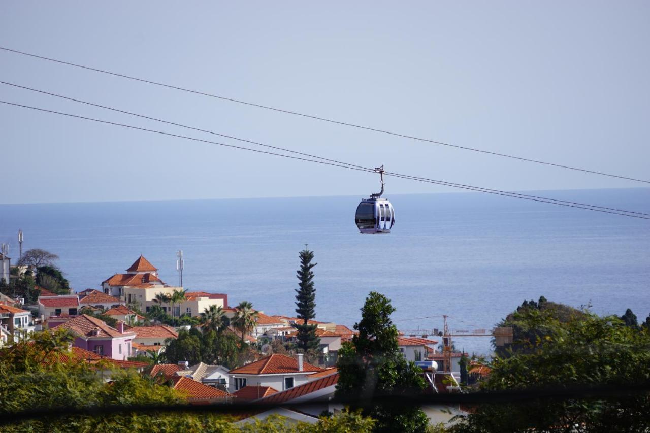 !Your Home In Madeira フンシャル エクステリア 写真