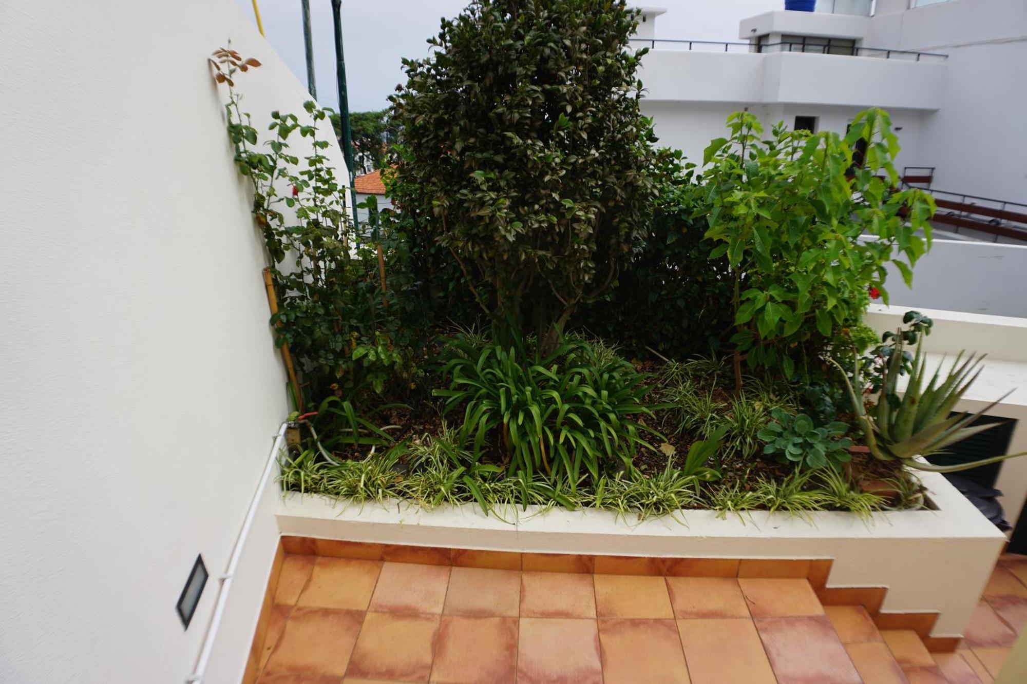 !Your Home In Madeira フンシャル エクステリア 写真